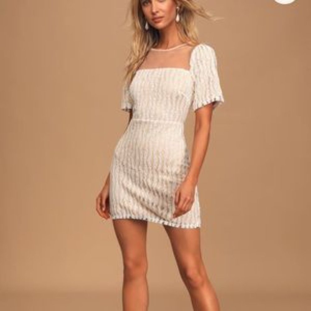 NWT Lulu's Smile a Minute White Embroidered Mesh Short Sleeve Mini Dress szM
